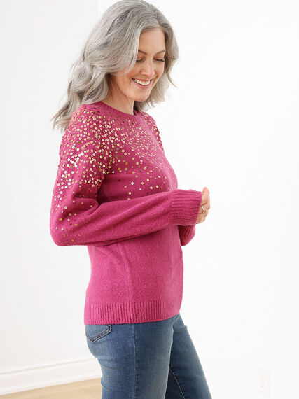 Knit Sequin Pullover Sweater Image 3