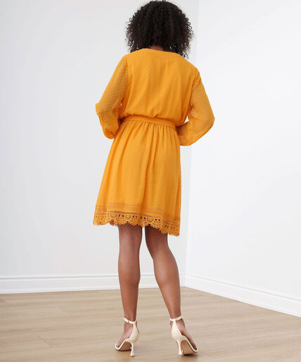 Long Sleeve Chiffon Swiss Dot Dress Image 6