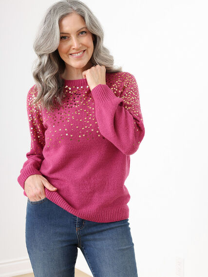 Knit Sequin Pullover Sweater Image 1