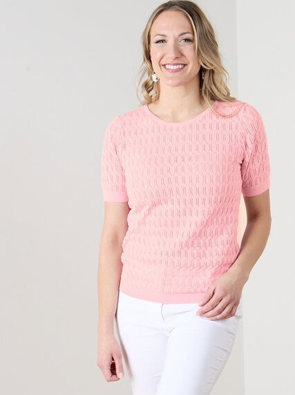 Short Sleeve Scallop Knit Crochet Pullover Sweater Image 1