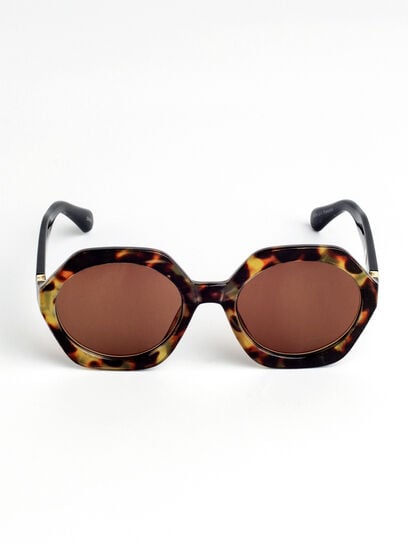 Tortoise Hexagon Frame Reader Sunglasses
