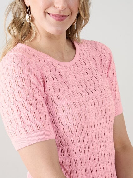 Short Sleeve Scallop Knit Crochet Pullover Sweater Image 4