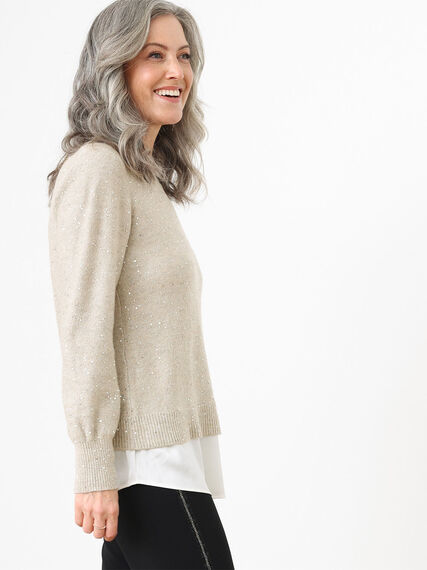 Long Sleeve Sequin Fooler Sweater Image 5