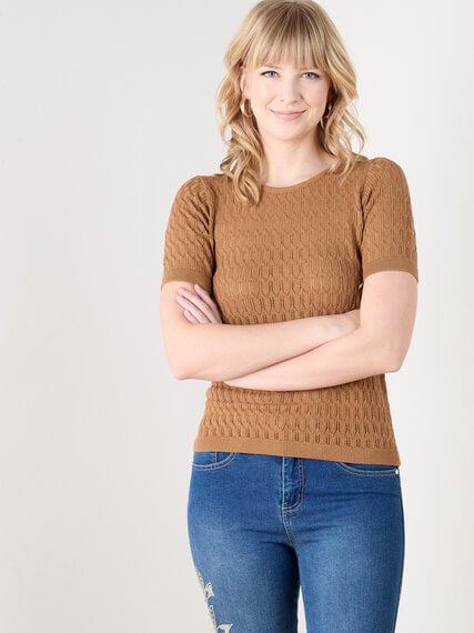 Short Sleeve Scallop Knit Crochet Pullover Sweater Image 4