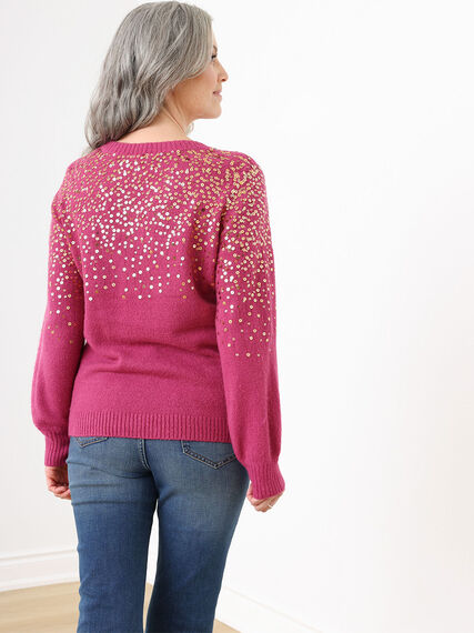 Knit Sequin Pullover Sweater Image 5