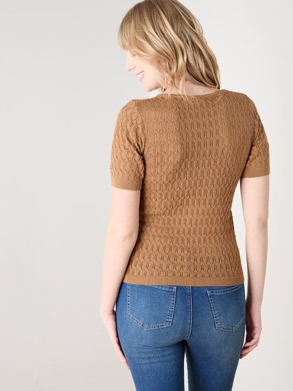 Short Sleeve Scallop Knit Crochet Pullover Sweater Image 5