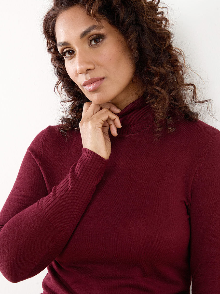 Petite turtleneck sweater cheap