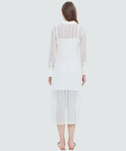 Dex Collared Lace Midi Dress Image 2