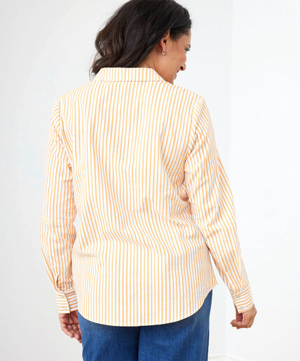 Long Sleeve Collared Popover Blouse Image 3