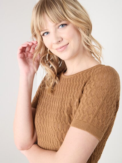 Short Sleeve Scallop Knit Crochet Pullover Sweater Image 3