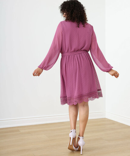Long Sleeve Chiffon Swiss Dot Dress Image 4
