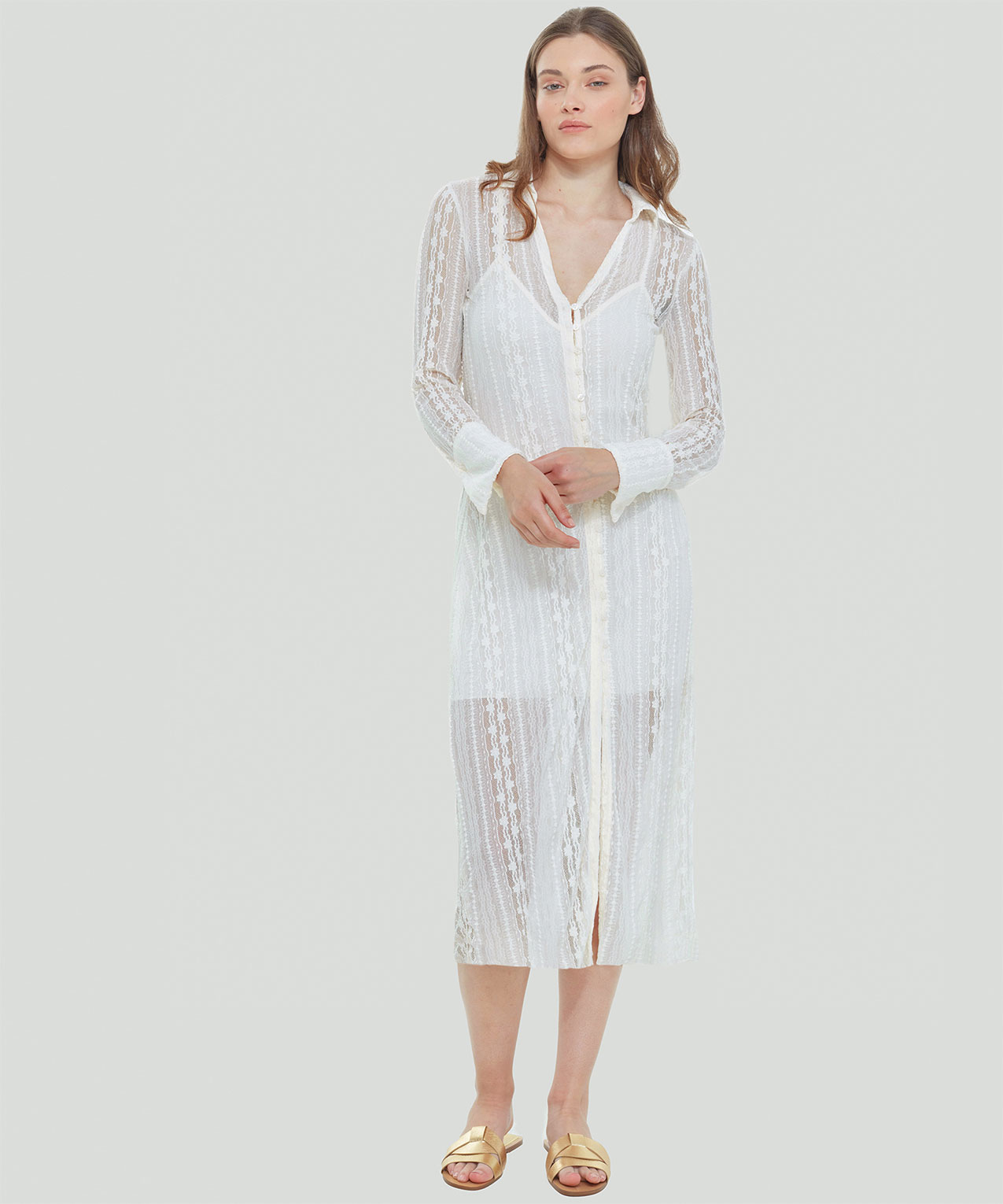 Dex Collared Lace Midi Dress Cleo 4000008510